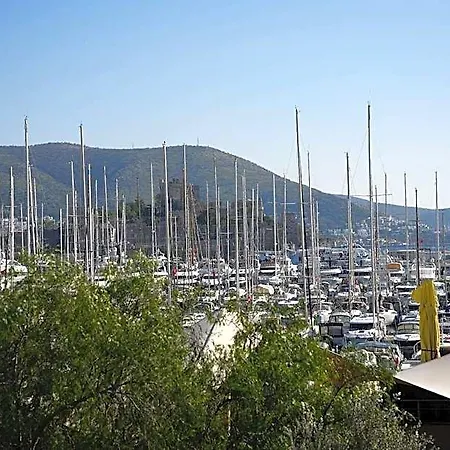 Noi Bodrum